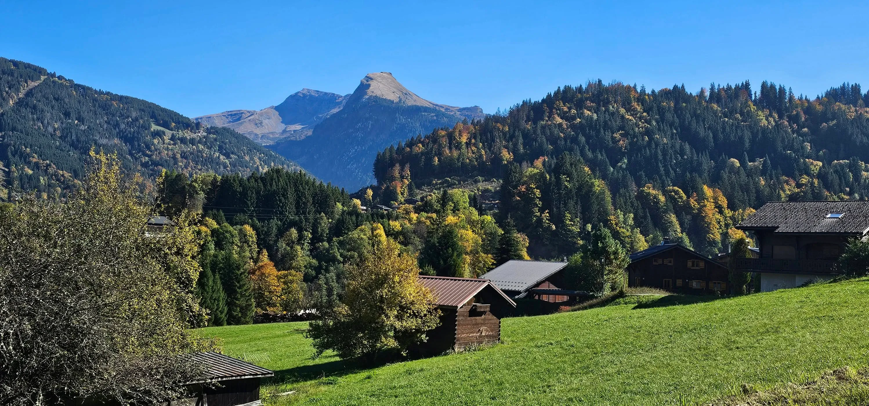 Autumn’s Beginings