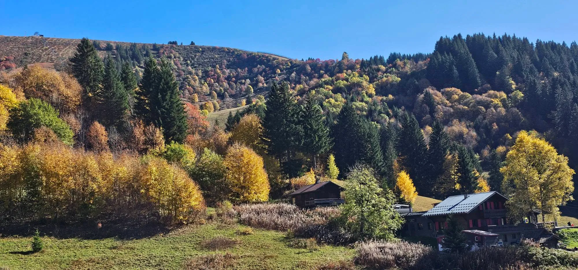 Autumn’s Beginings