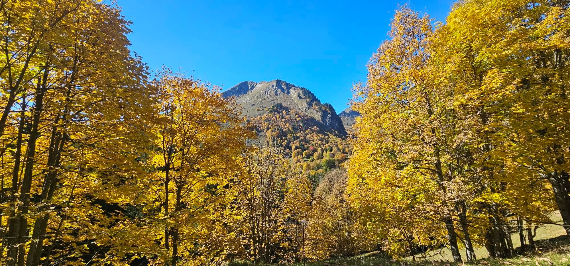 Autumn’s Beginings