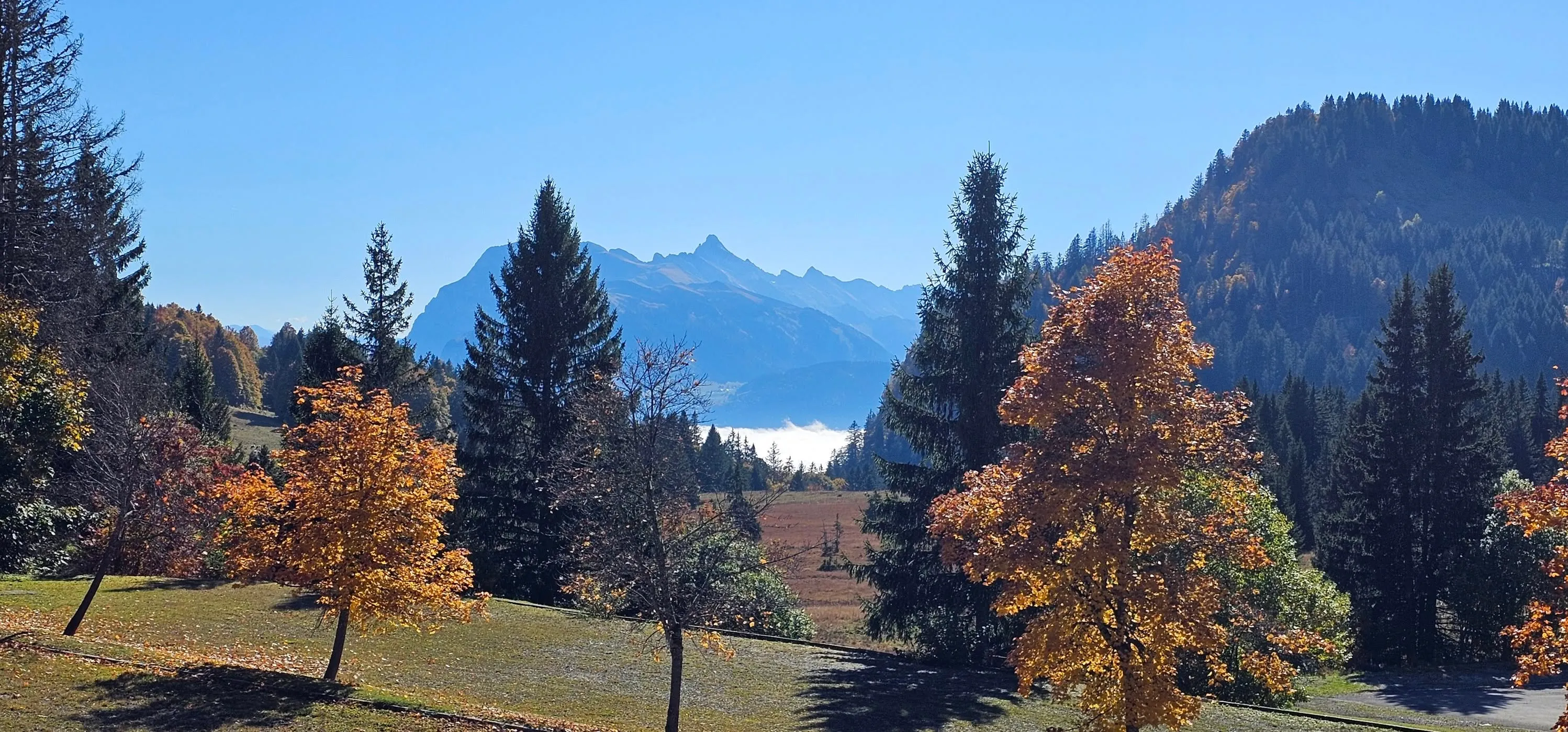 Autumn’s Beginings