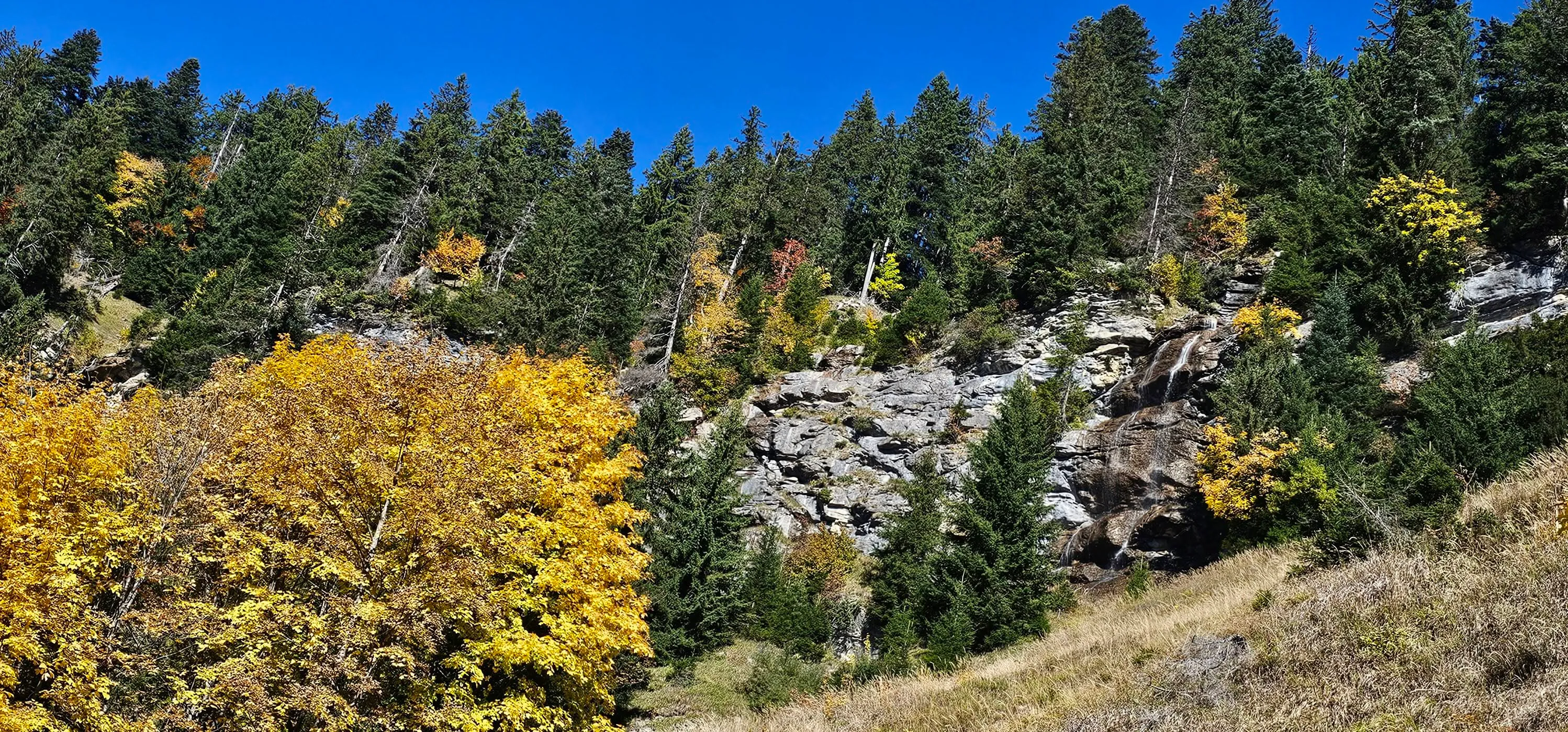Autumn’s Beginings