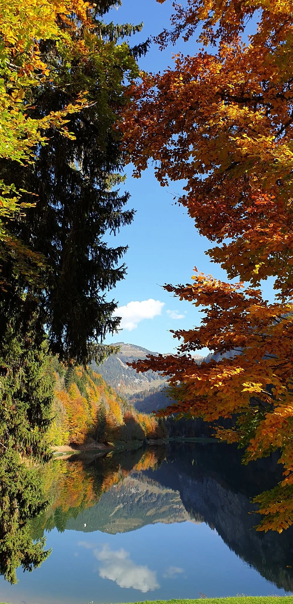 Couleurs d’automne footer image