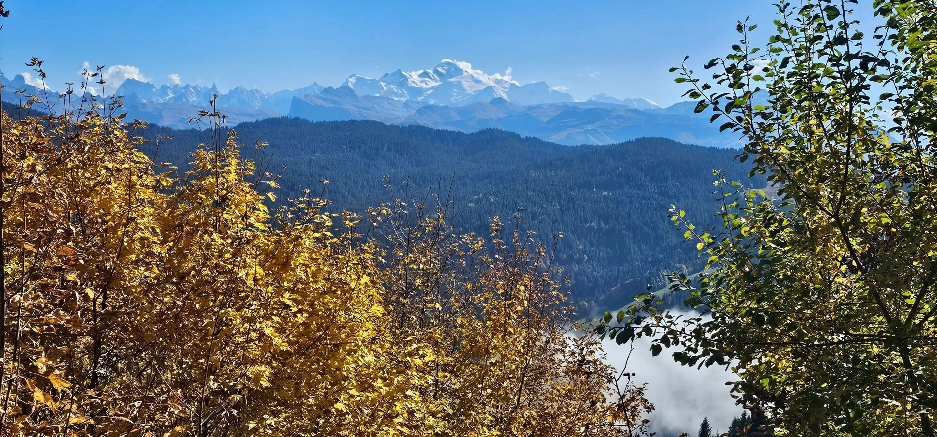 Autumn’s Beginings