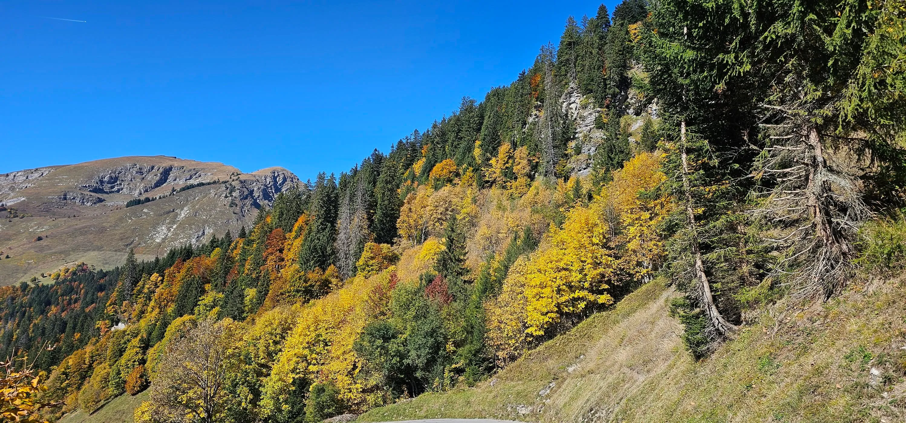 Autumn’s Beginings