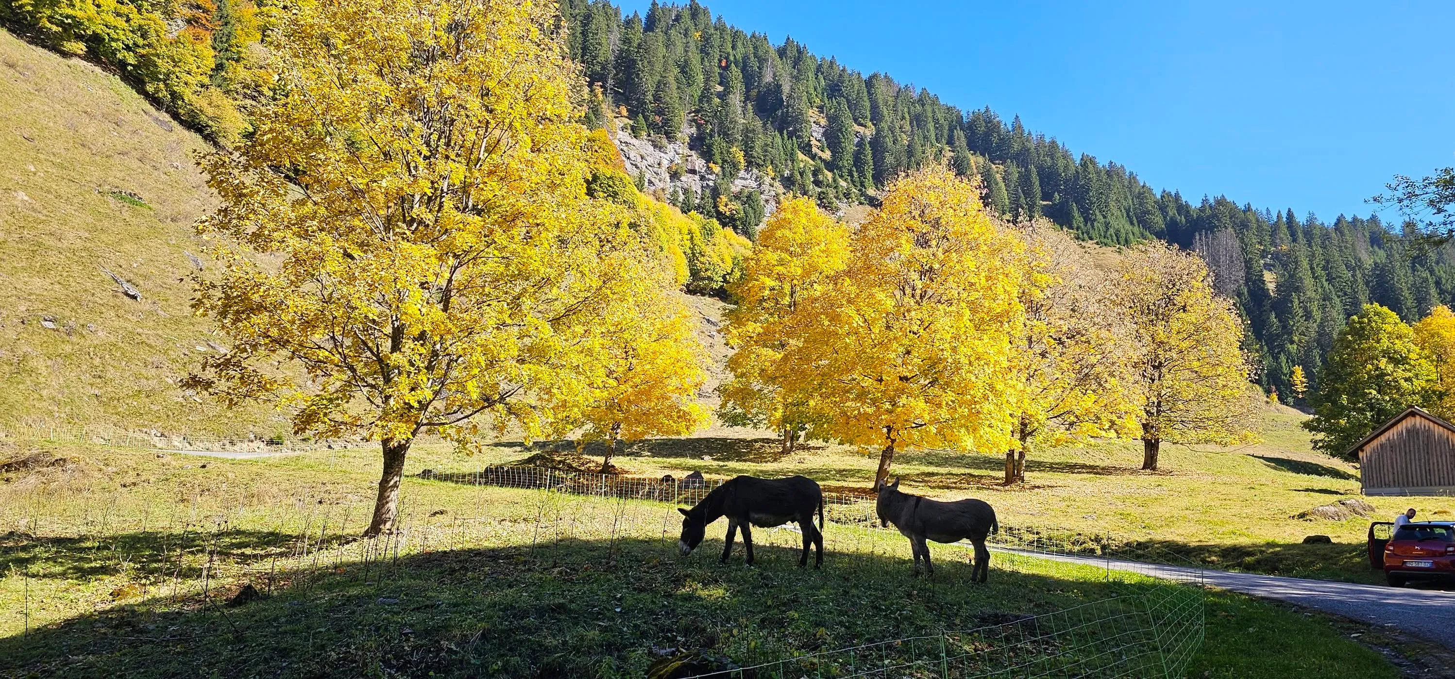 Autumn’s Beginings