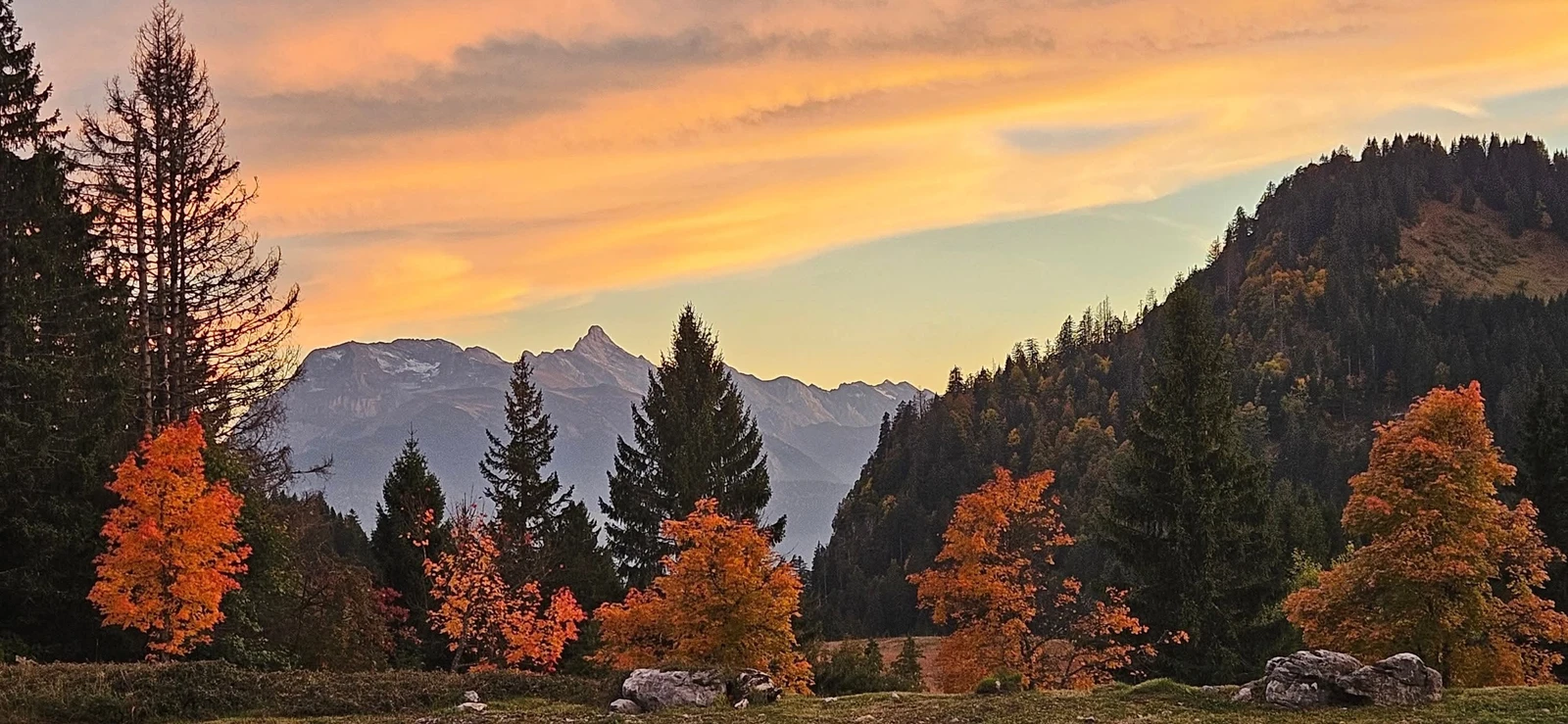 Autumn Colours 