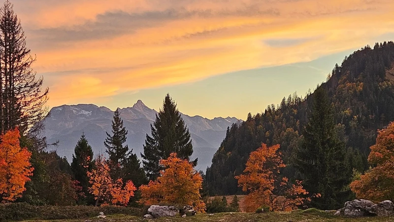 Autumn Colours 