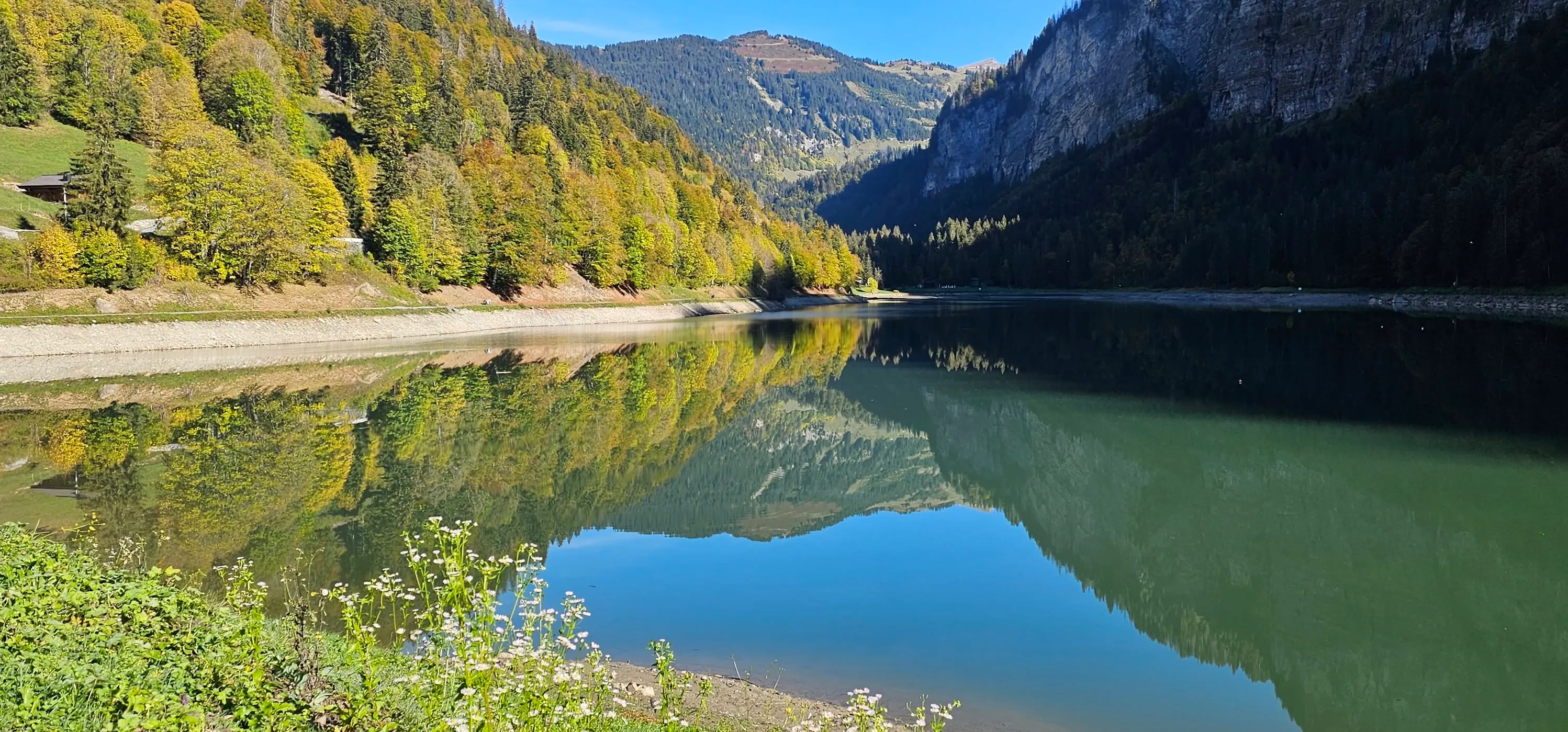 Autumn’s Beginings