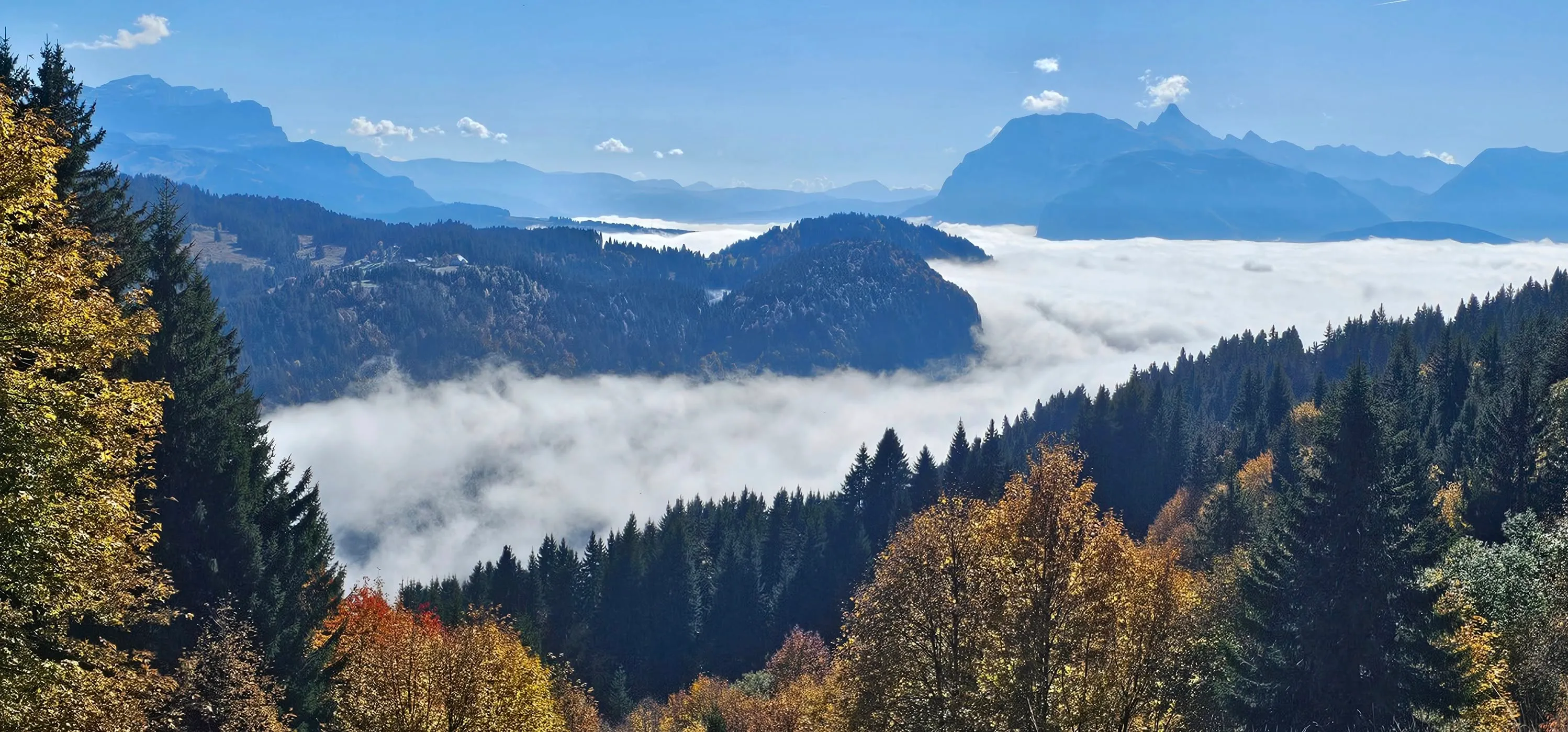Autumn’s Beginings